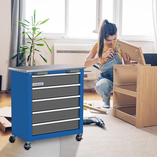 LARBANKE Werkstattwagen leer mit 5-Schubladen Praxistest